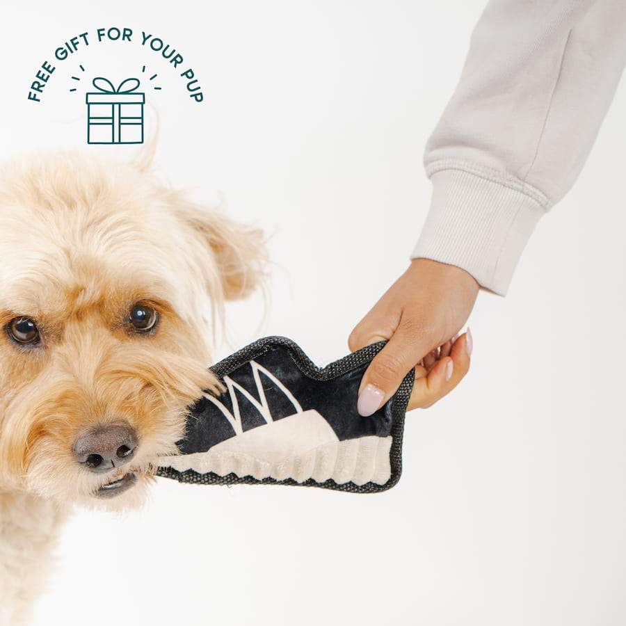 River Blue on Off White